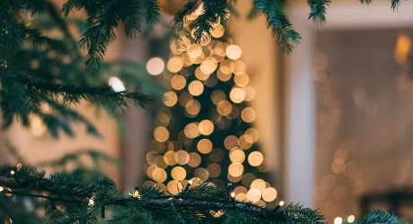Hold årets julefrokost bag tremmer
